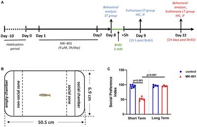 Social withdrawal and anxiety-like behavior have an impact on zebrafish adult neurogenesis
